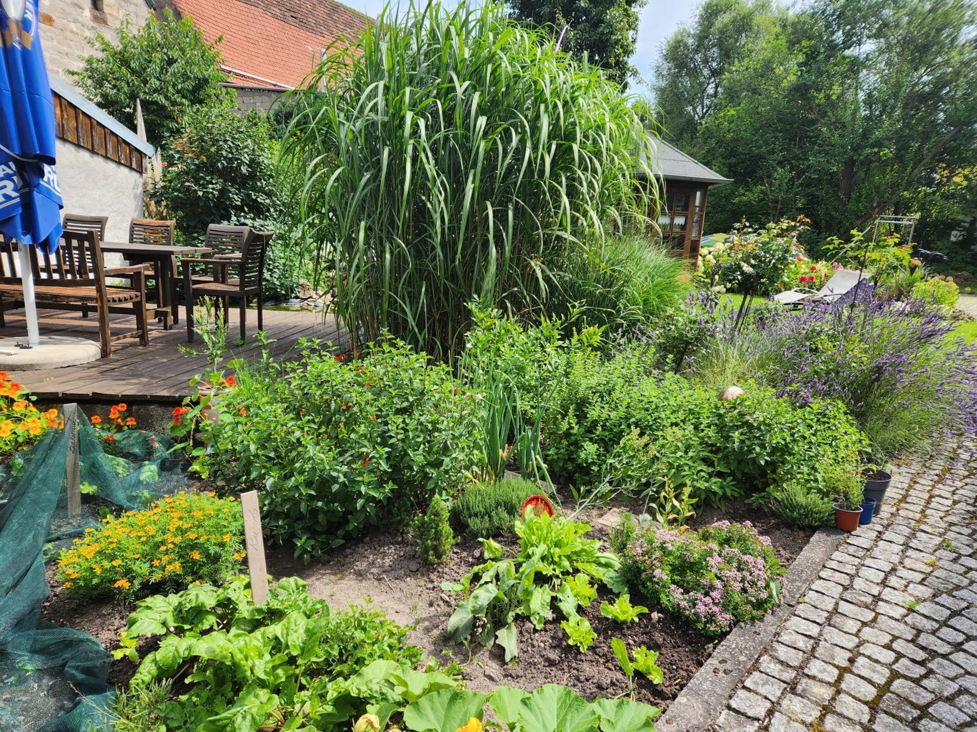 Familienfreundlich Im Naturpark Hassberge Mit Gehobener Gastronomie Kirchlauter Exterior foto
